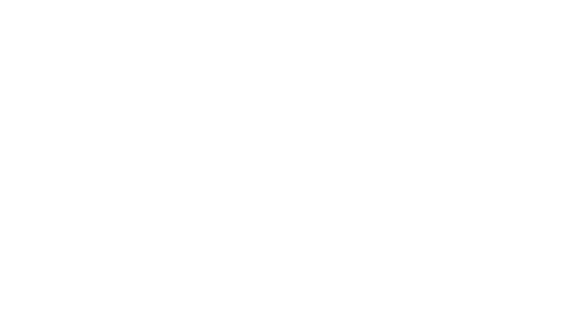 Cariya Japan Inc.